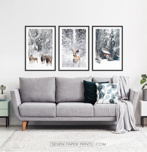 Lovely 3-Piece Set Of Winter Forestside Framed Posters above the sofa