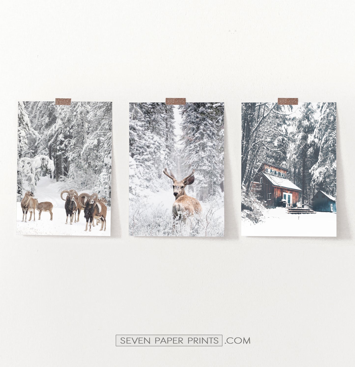 Lovely 3-Piece Set Of Winter Forestside Posters