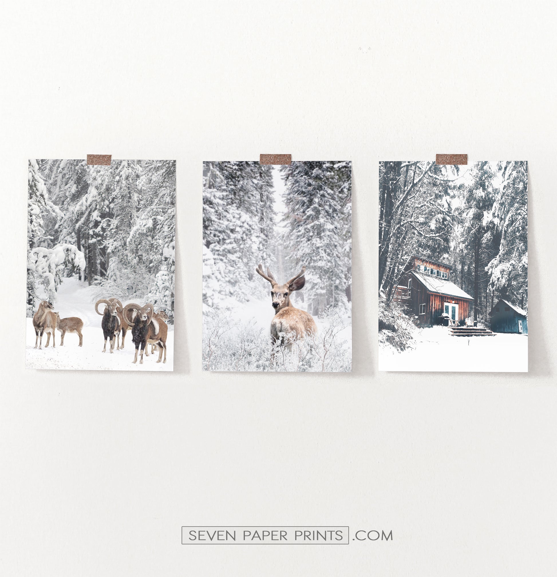 Lovely 3-Piece Set Of Winter Forestside Posters