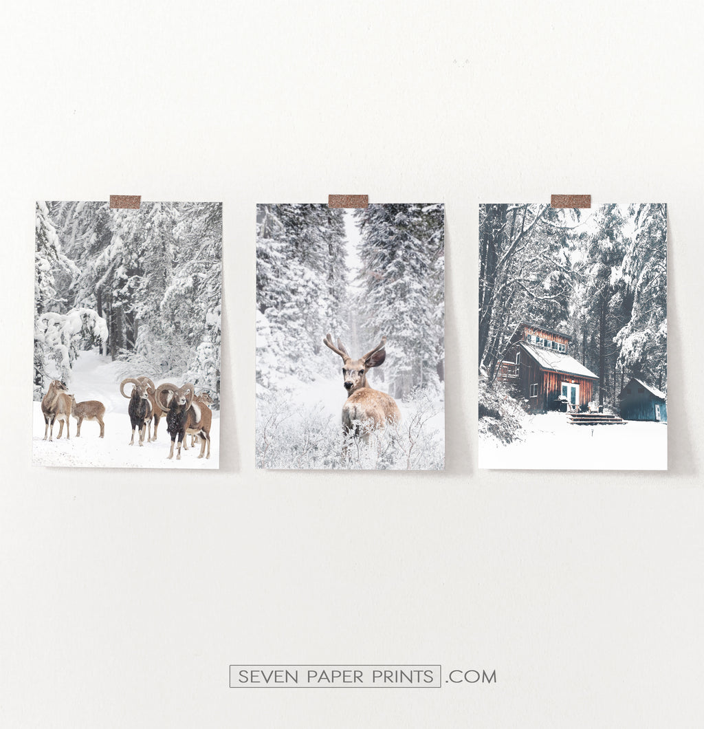 Lovely 3-Piece Set Of Winter Forestside Posters