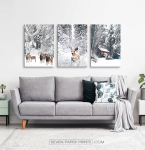 Winter County Animals In Snowy Forest 3 Piece Canvas