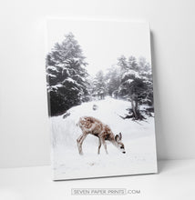 Load image into Gallery viewer, Deer on a snowy glade canvas print
