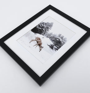 Deer on a Snowy Glade Framed Print