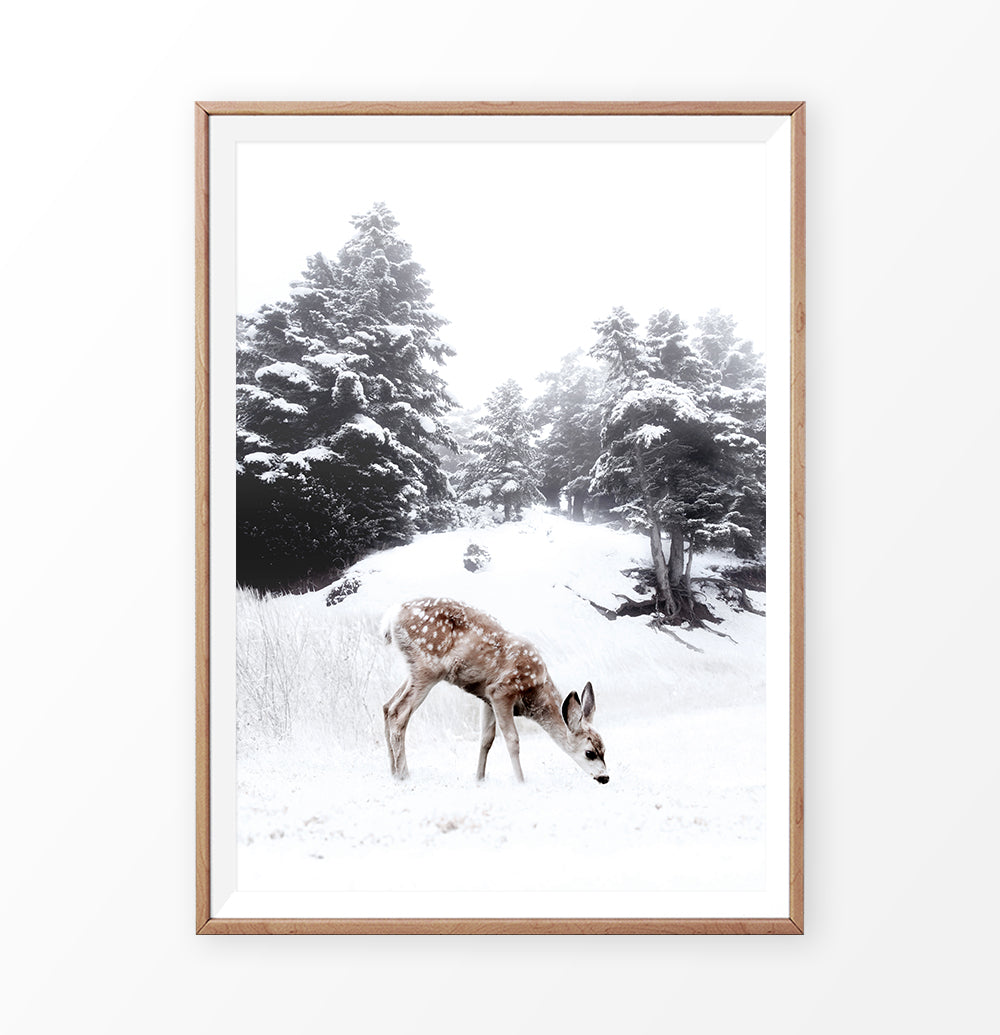 Wooden-framed photo print