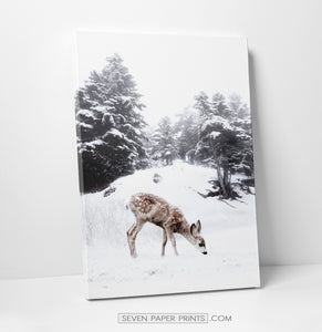 Deer on a snowy glade canvas print