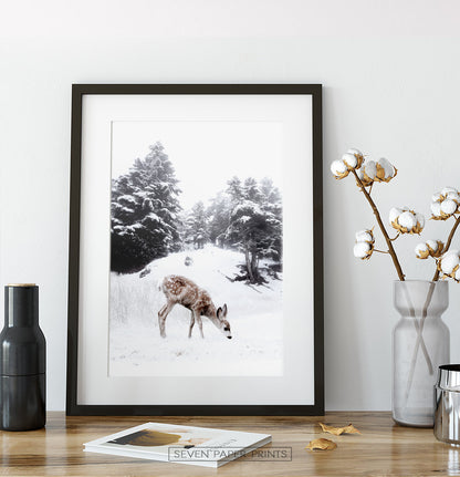 Black-framed on a wooden shelf