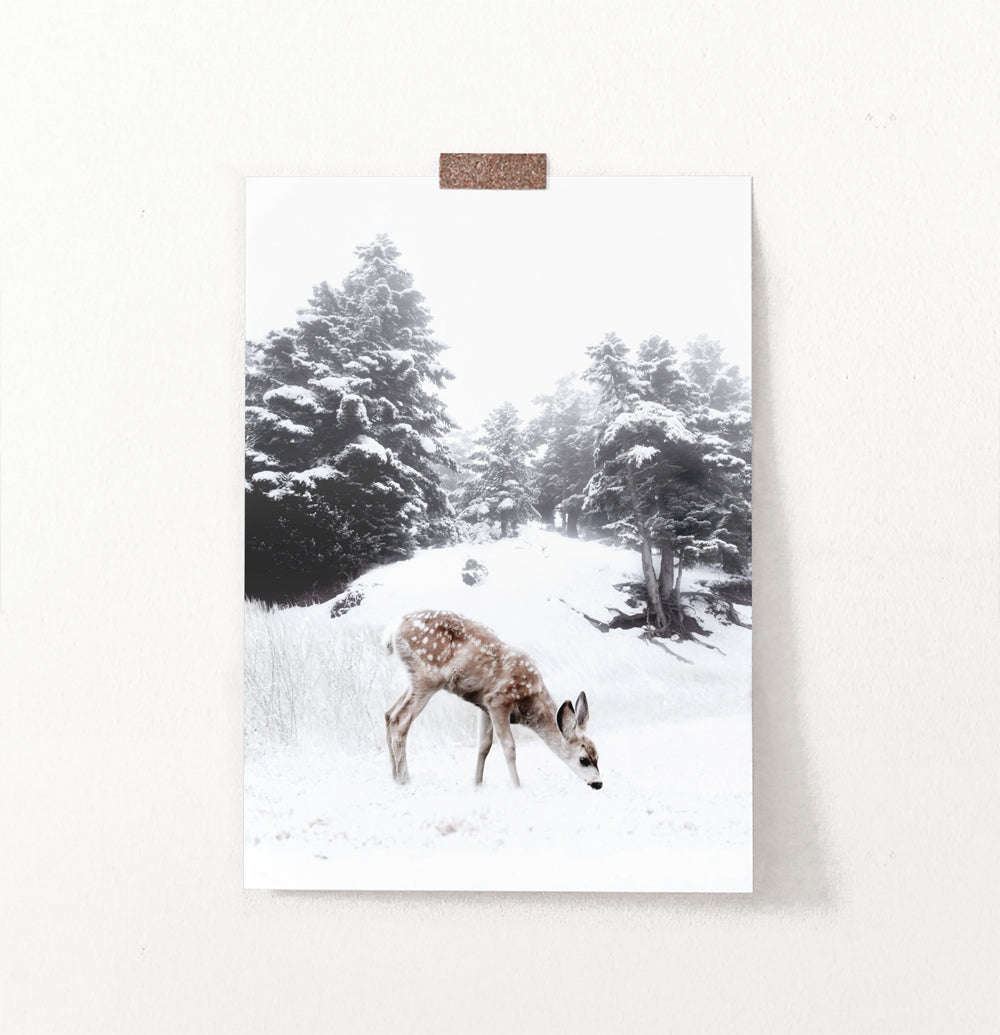Fawn Walking On A Snowy Forest Spacing Wall Decor