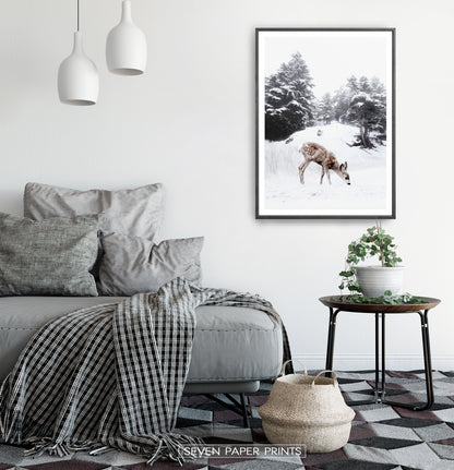 Black-framed in a white&gray bedroom