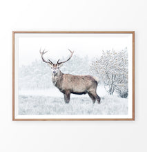 Load image into Gallery viewer, Gorgeous Deer On White Snowy Spacing Wall Art
