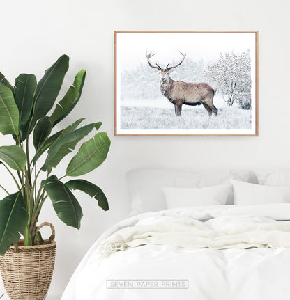 Gorgeous Deer On White Snowy Spacing Wall Art