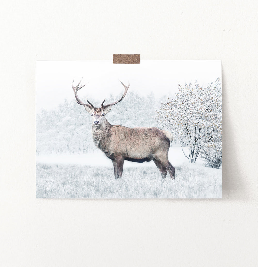 Gorgeous Deer On White Snowy Spacing Wall Art
