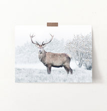 Load image into Gallery viewer, Gorgeous Deer On White Snowy Spacing Wall Art
