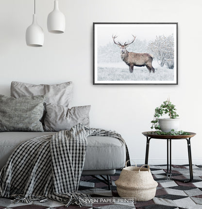 Gorgeous Deer On White Snowy Spacing Wall Art
