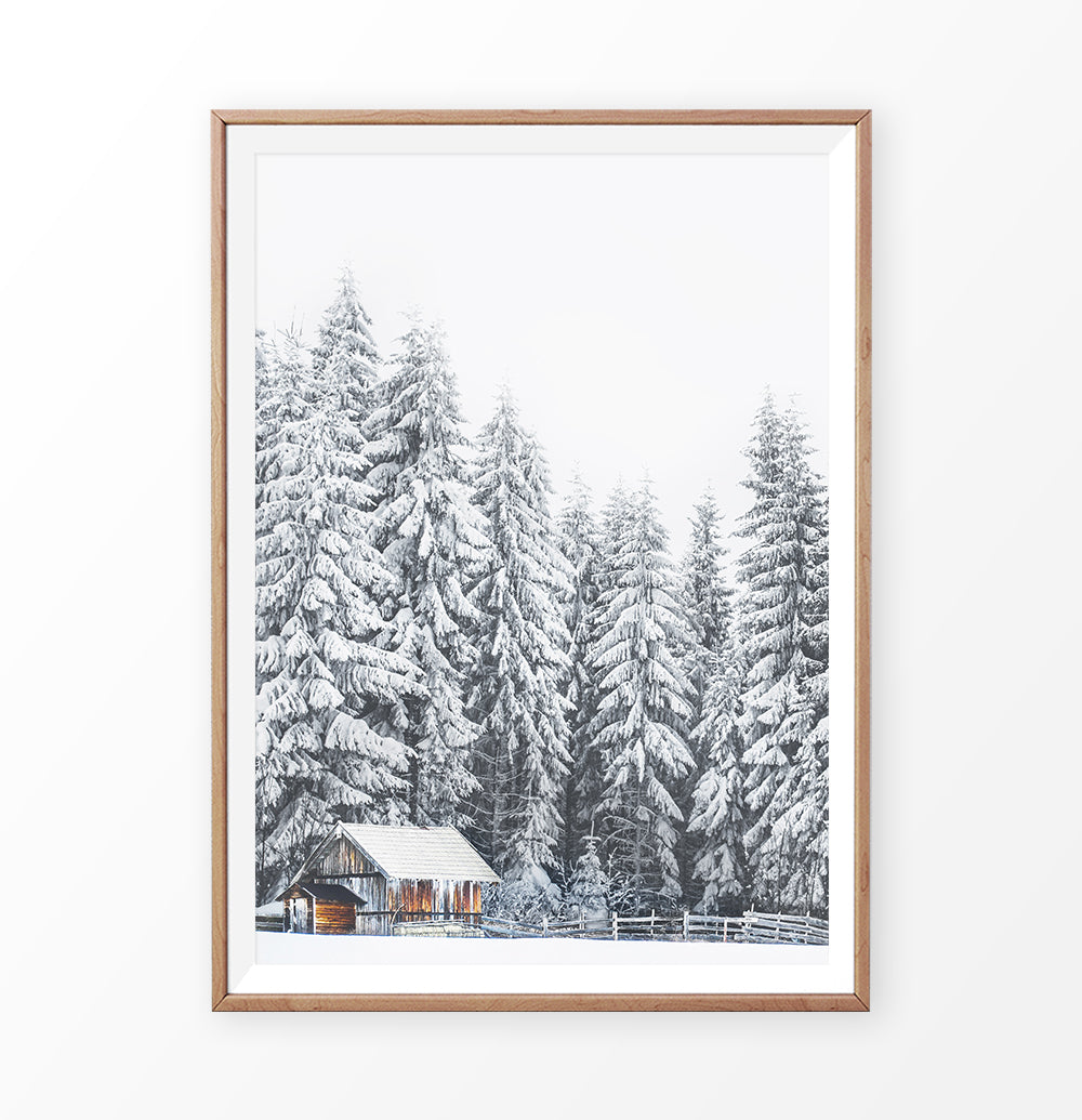Wooden-framed photo print