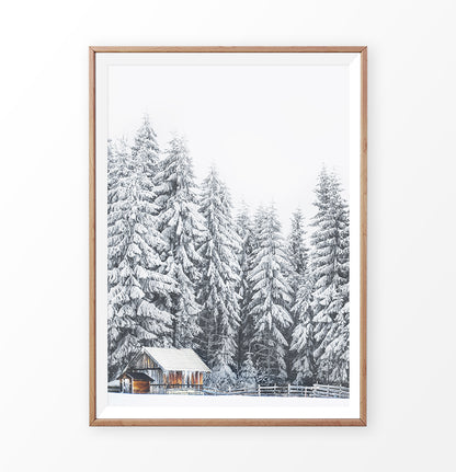 Wooden-framed photo print