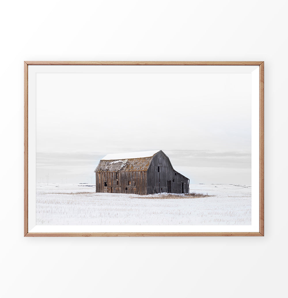 Wooden-framed photo print