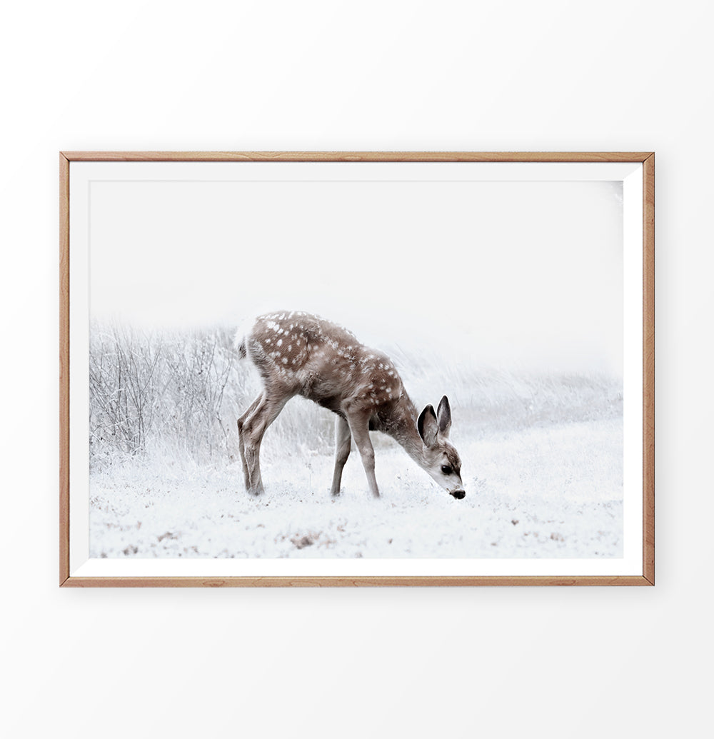 Wooden-framed photo print