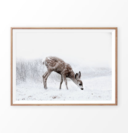 Wooden-framed photo print