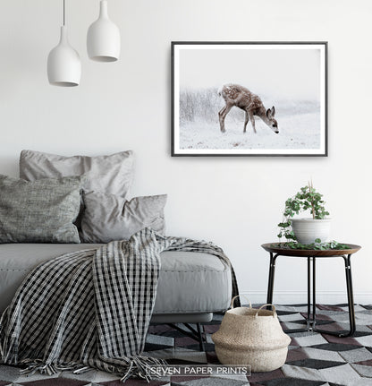 Black-framed in a white&gray bedroom