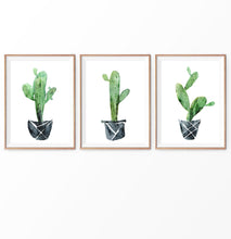 Load image into Gallery viewer, Green Mexican Cactus in Pots Watercolor Set of 3
