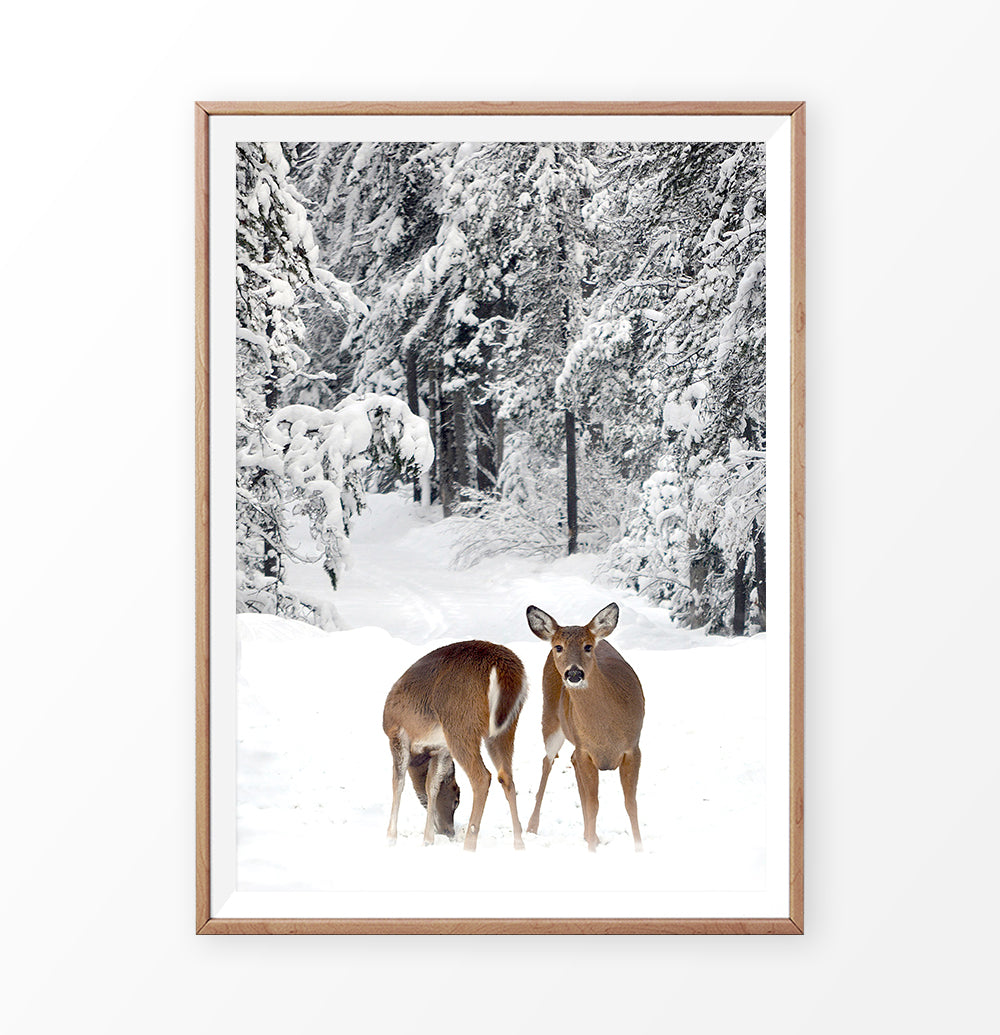 Wood-framed