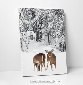 Deers on a snowy spacing canvas photography