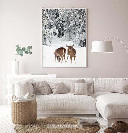 White-framed in the living room