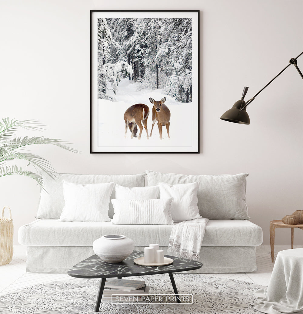 Black-framed with white sofa