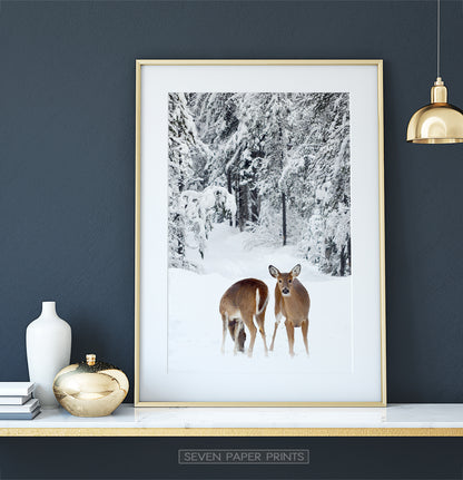 Golden-framed on white marble shelf