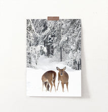 Load image into Gallery viewer, Two Deers In Snowy Forest Wall Art

