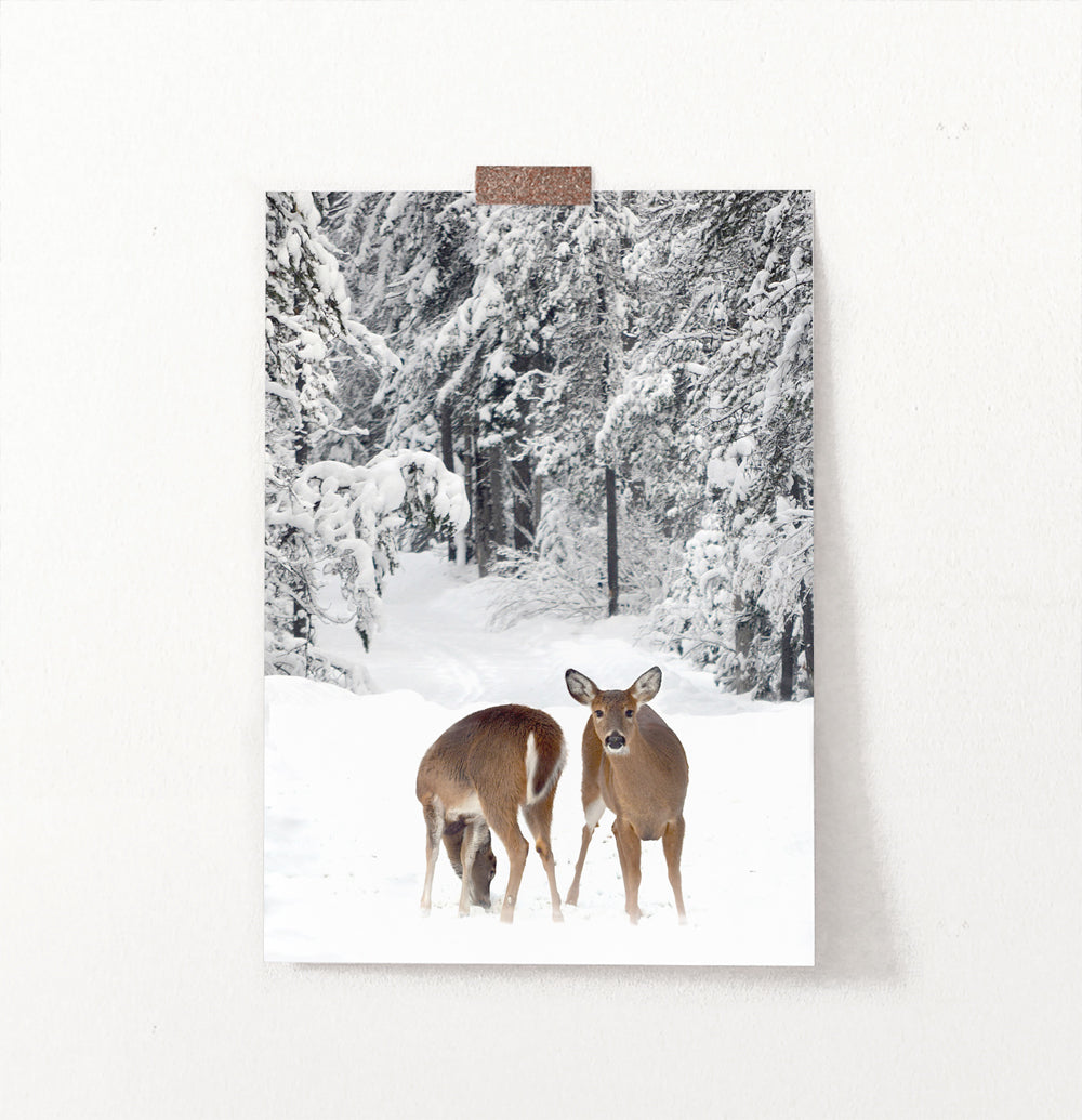 Two Deers In Snowy Forest Wall Art