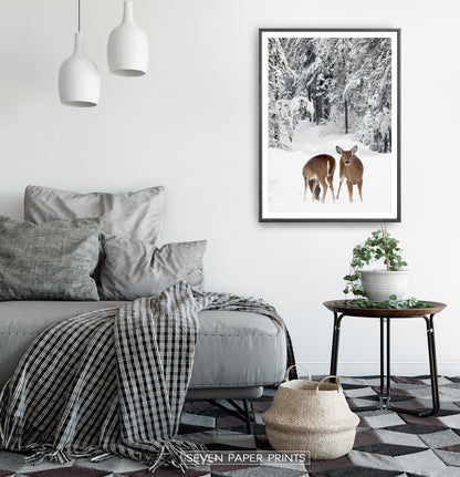 Black-framed in a white&gray bedroom