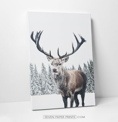 Big deer with huge horns on the winter spacing