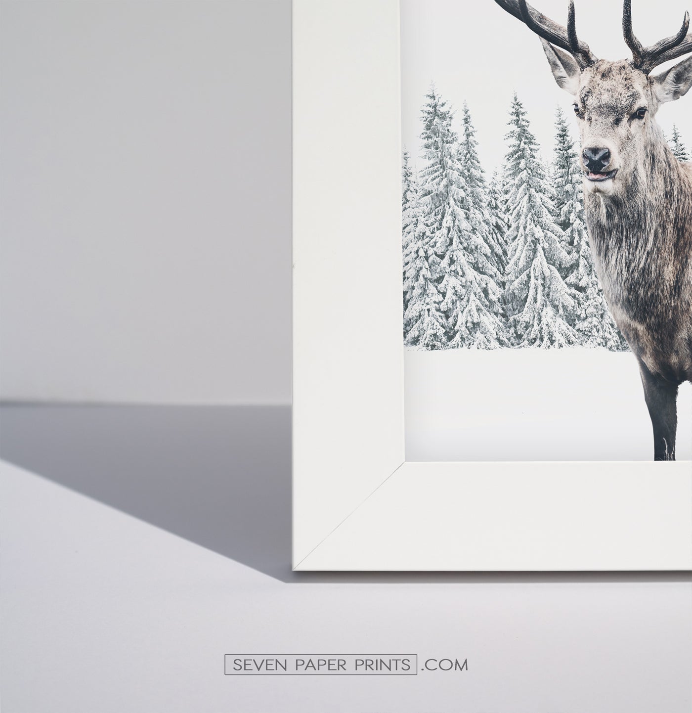 Corner of a white frame