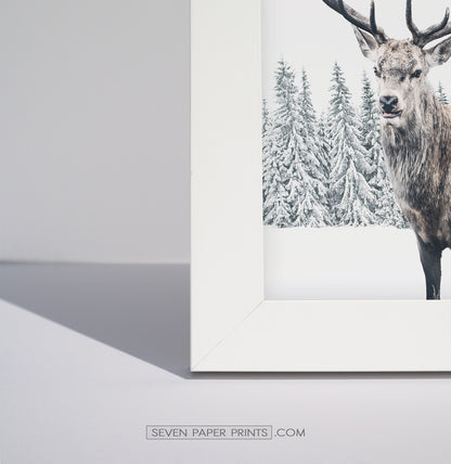 Corner of a white frame