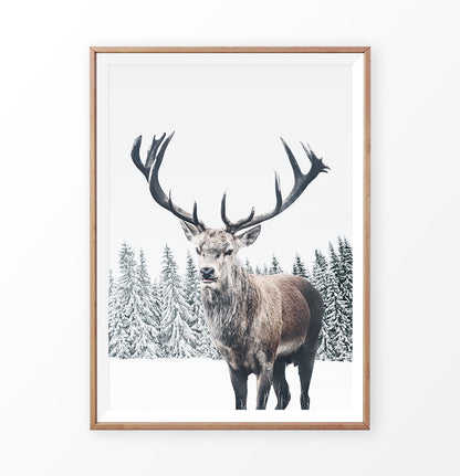 Wooden-framed photo print