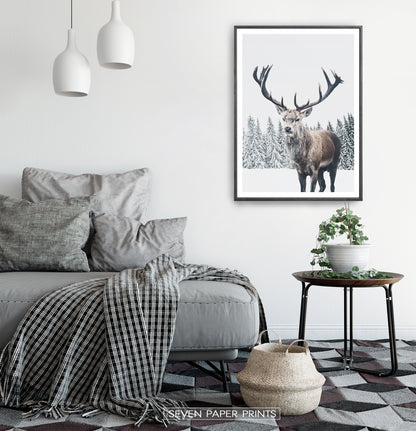 Black-framed in a white&gray bedroom