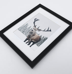 Big brutal reindeer photo print in a black frame