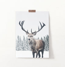 Load image into Gallery viewer, Great Horns Huge Deer On Winter Spacing Poster
