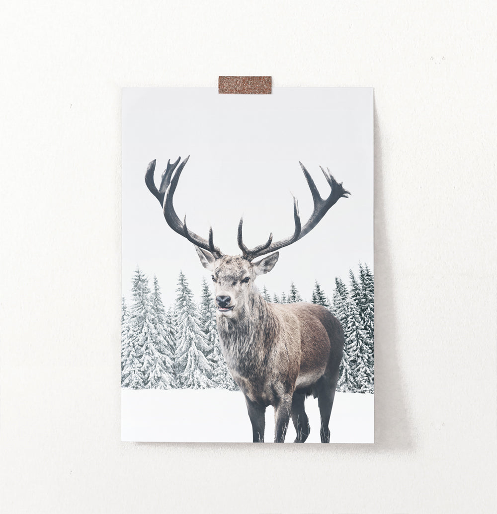 Great Horns Huge Deer On Winter Spacing Poster