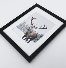 Load image into Gallery viewer, Big brutal reindeer photo print in a black frame
