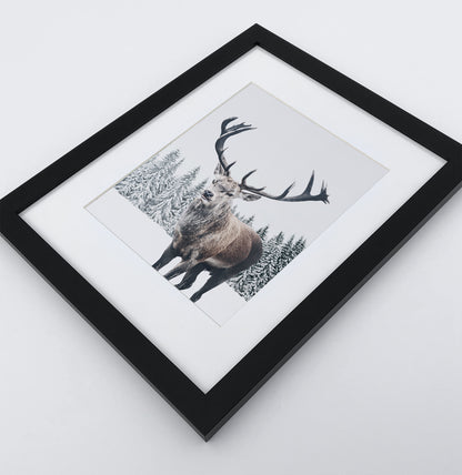 Set of 6 Framed Winter Prints with Animals and Snowy Nature