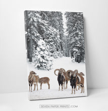 Load image into Gallery viewer, Sheep in the snowy forest
