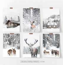 Load image into Gallery viewer, Set Of 6 Winter Coutrysides And Animals Photo Prints
