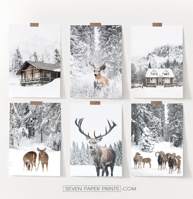 Set Of 6 Winter Coutrysides And Animals Photo Prints