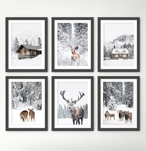 Snowy House, Deer, Cabin, Reindeers and Sheep 6-Piece Framed Wall Art Set