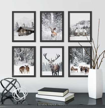Black-framed in the cabinet
