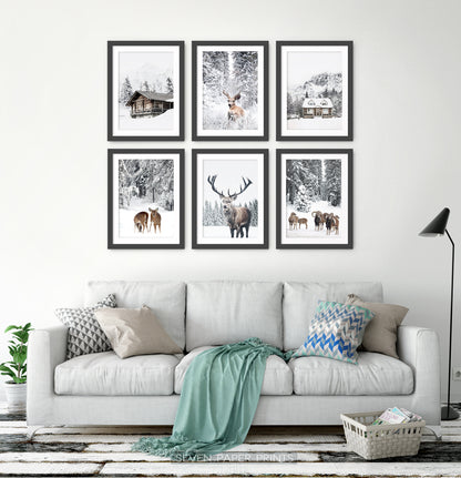 Black-framed in the living room