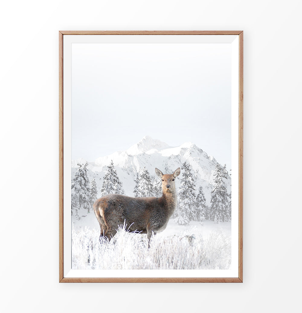 Wooden-framed photo print
