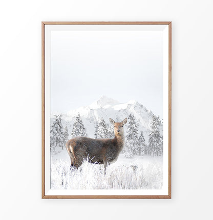 Wooden-framed photo print